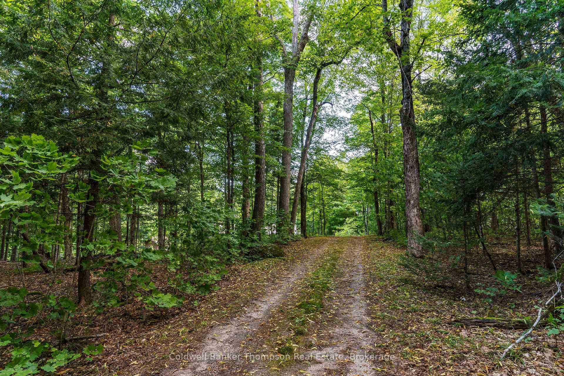 Photo 47 of 115 Sandwood Drive, Ryerson — HOMEH