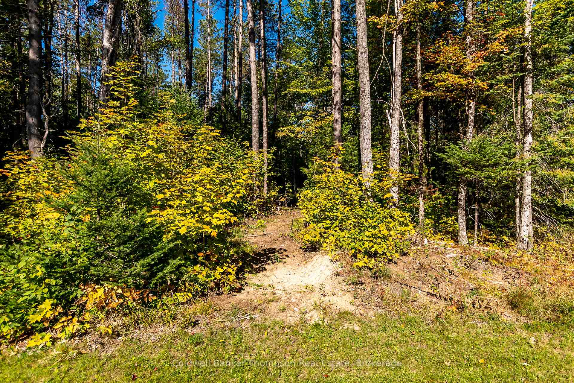 Photo 31 of 786 Boundary Road, Perry — HOMEH