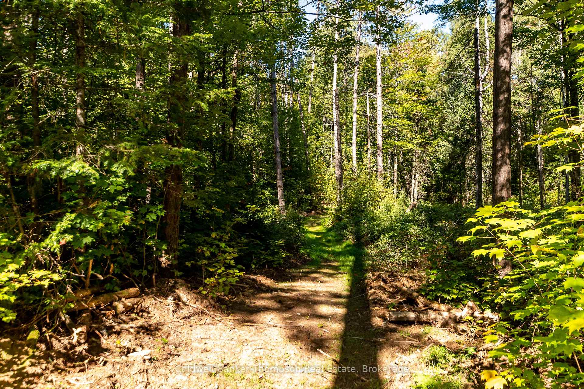Photo 32 of 786 Boundary Road, Perry — HOMEH