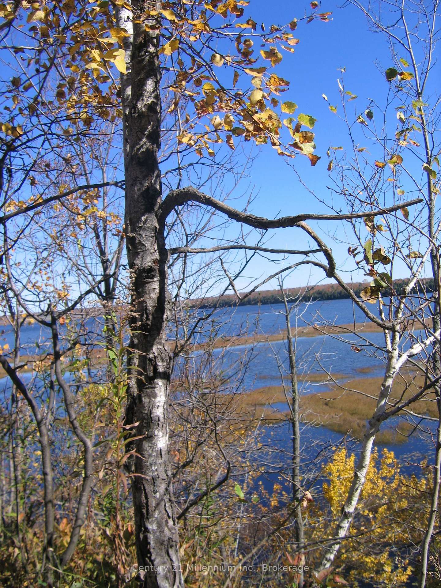 Photo 2 of LT 26 CON 2 WBR Albemarle Concession, South Bruce Peninsula — HOMEH