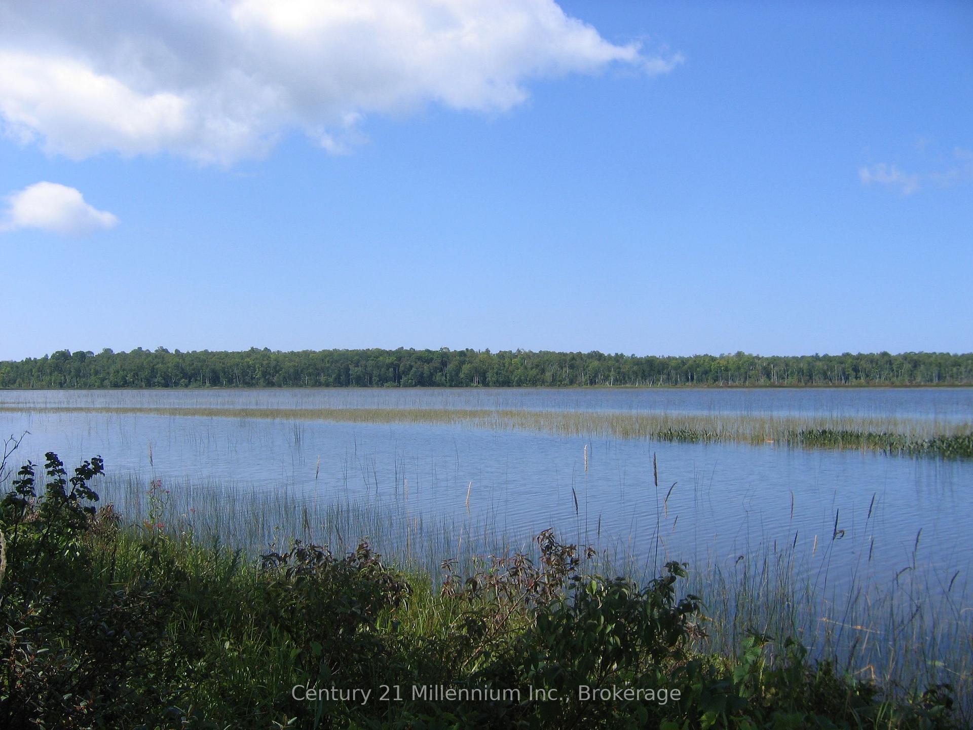Photo 3 of LT 26 CON 2 WBR Albemarle Concession, South Bruce Peninsula — HOMEH