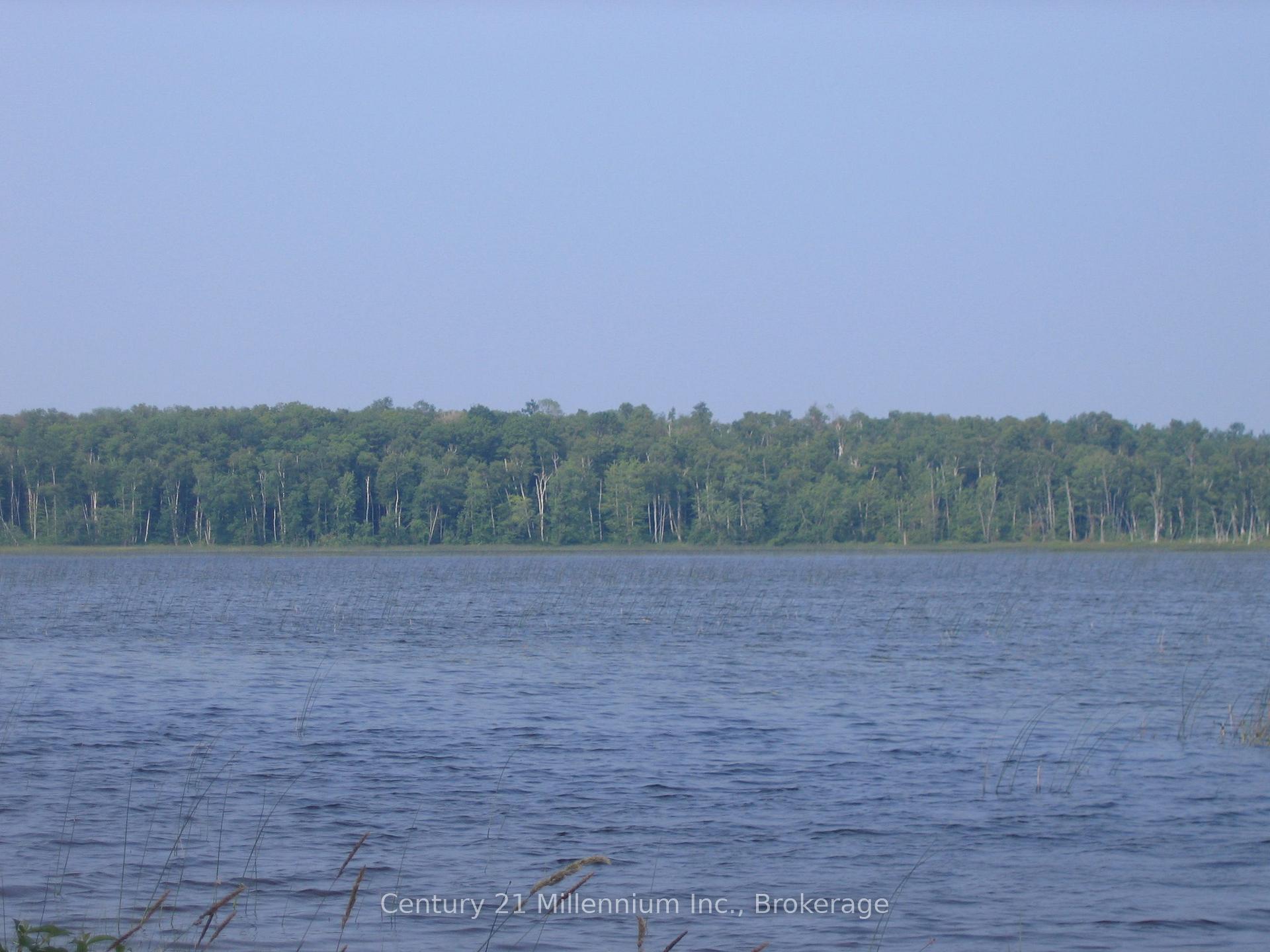 Photo 4 of LT 26 CON 2 WBR Albemarle Concession, South Bruce Peninsula — HOMEH