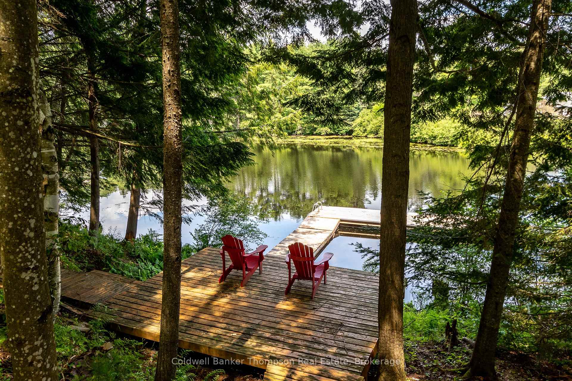Photo of 48 Shellwood Shores Avenue