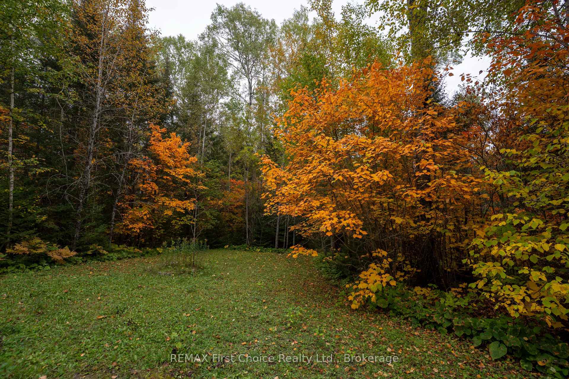 Photo 4 of 6590 Townline Road, Thunder Bay, McIntyre South — HOMEH