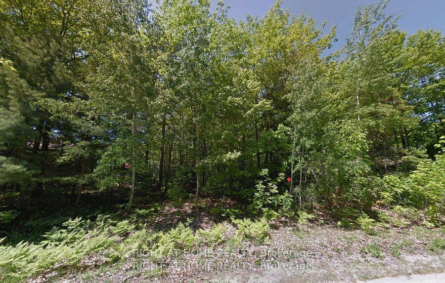 Photo 2 of 2 Birchwood Trail, Wasaga Beach — HOMEH