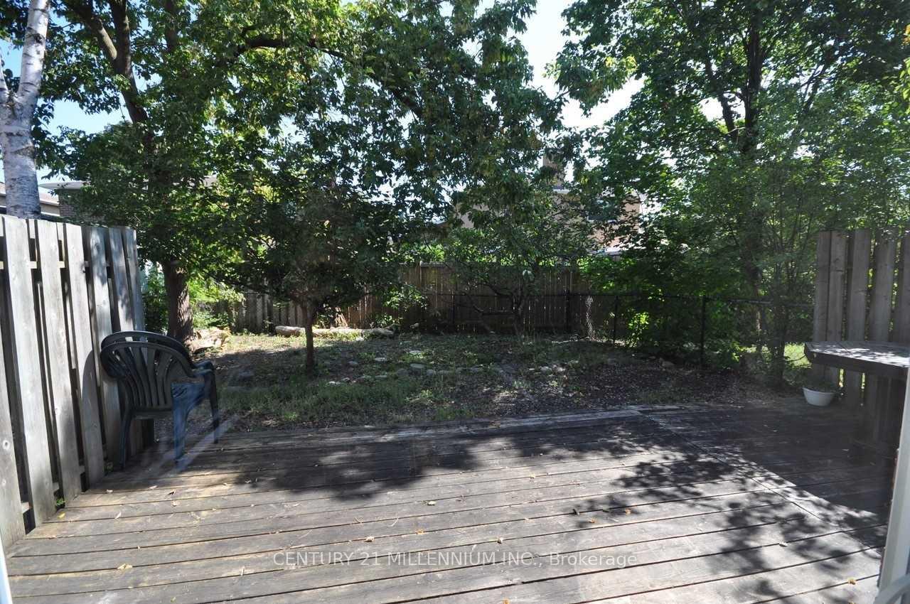 Photo 11 of Unit Main-Fl, 183 Harold Street, Brampton, Brampton South — HOMEH