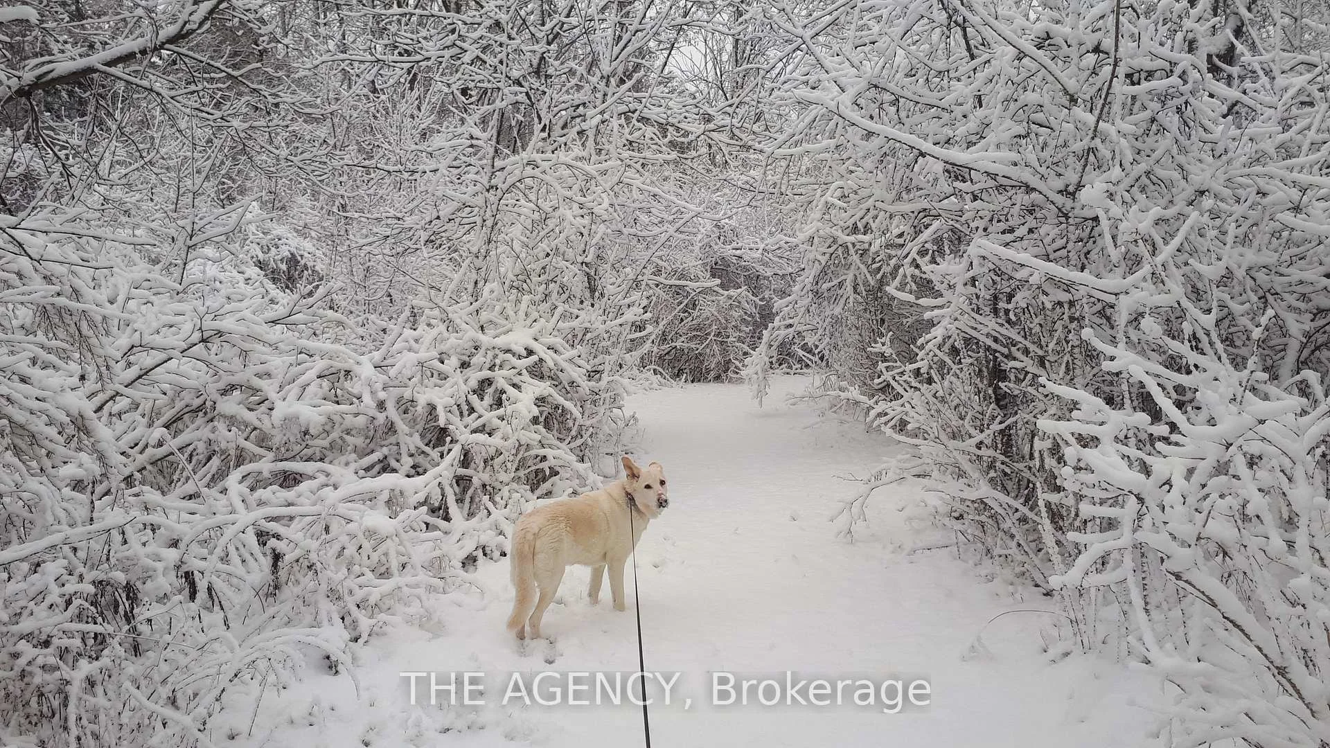 Photo 88 of 295 Brant Road, Brant, South Dumfries — HOMEH