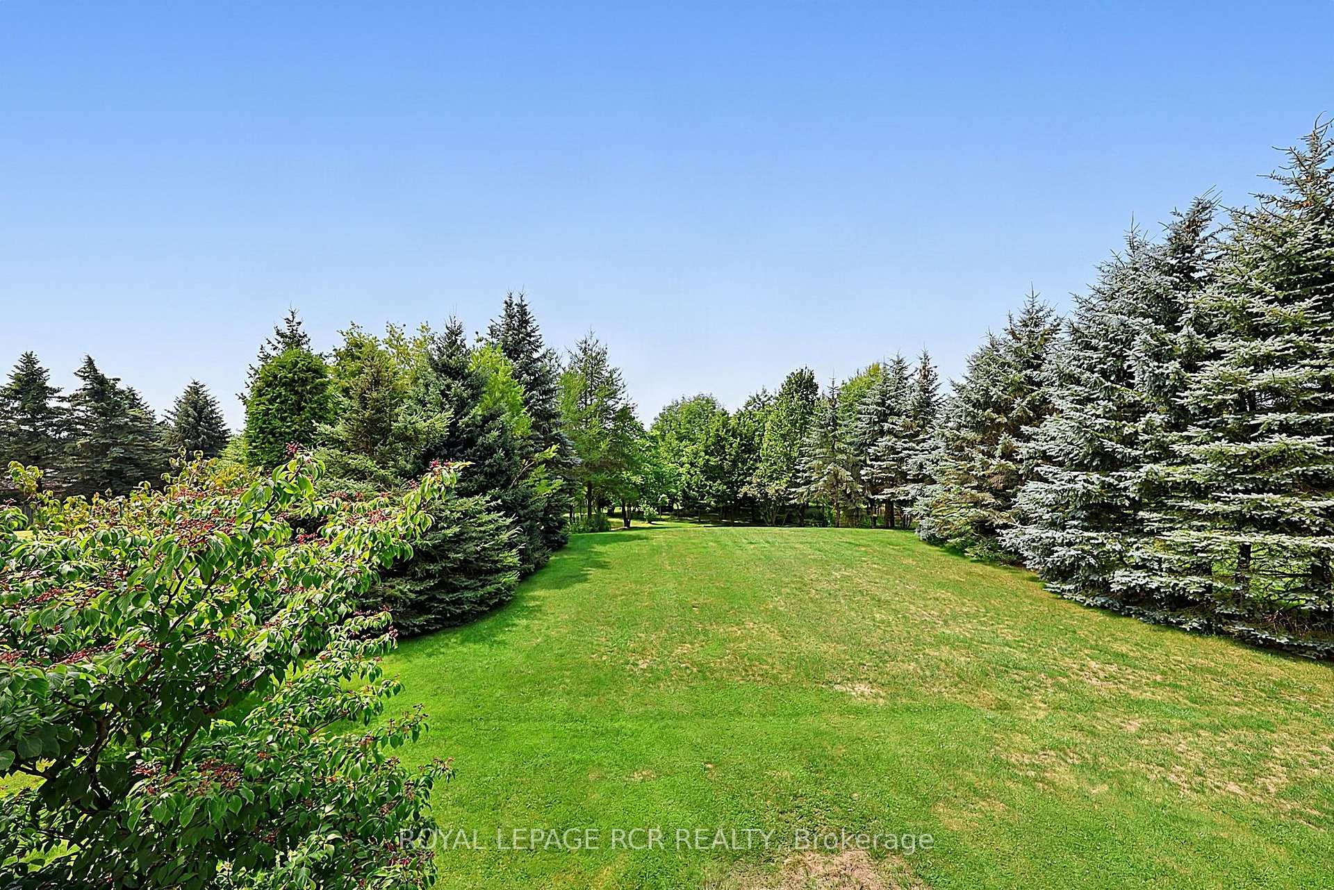 Photo 34 of 12 Peter Street, Amaranth, Rural Amaranth — HOMEH
