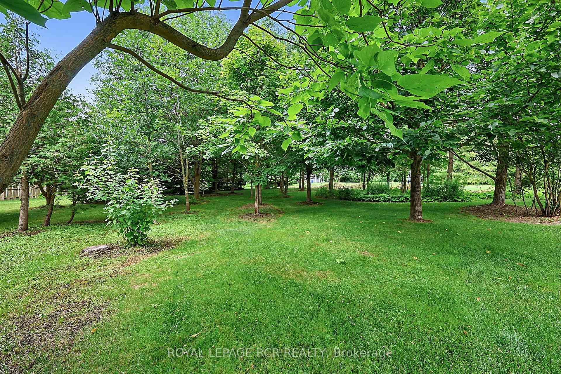 Photo 39 of 12 Peter Street, Amaranth, Rural Amaranth — HOMEH