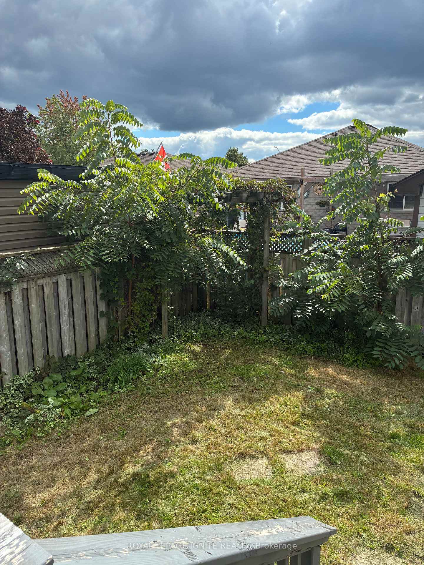Photo 25 of 114 Bird Street, Barrie, Edgehill Drive — HOMEH