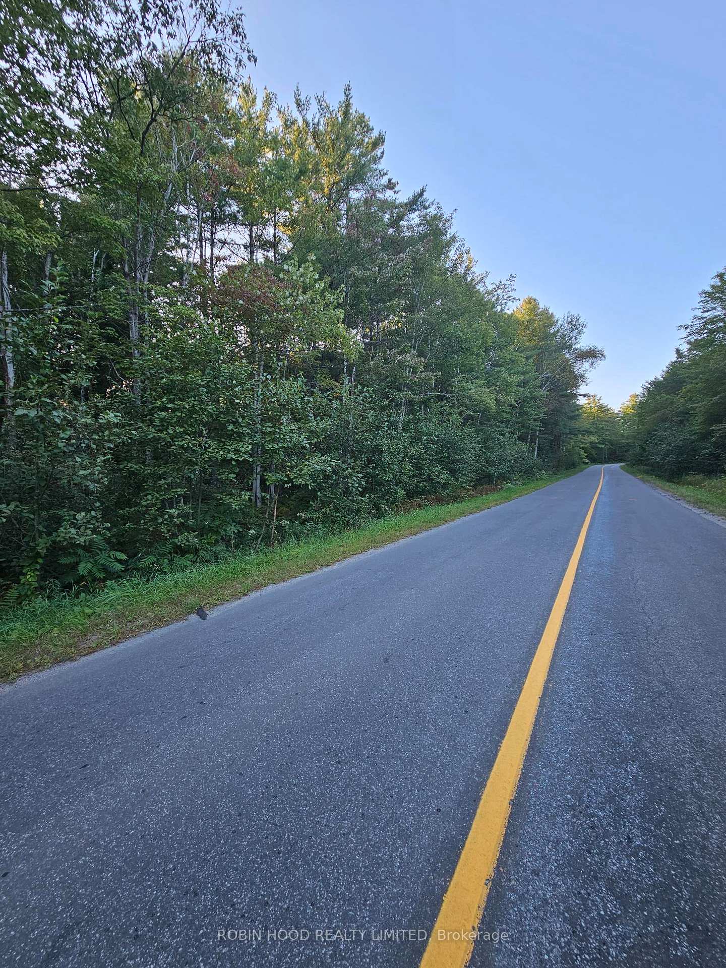 Photo 3 of 2239 Southwood Road, Gravenhurst, Ryde — HOMEH