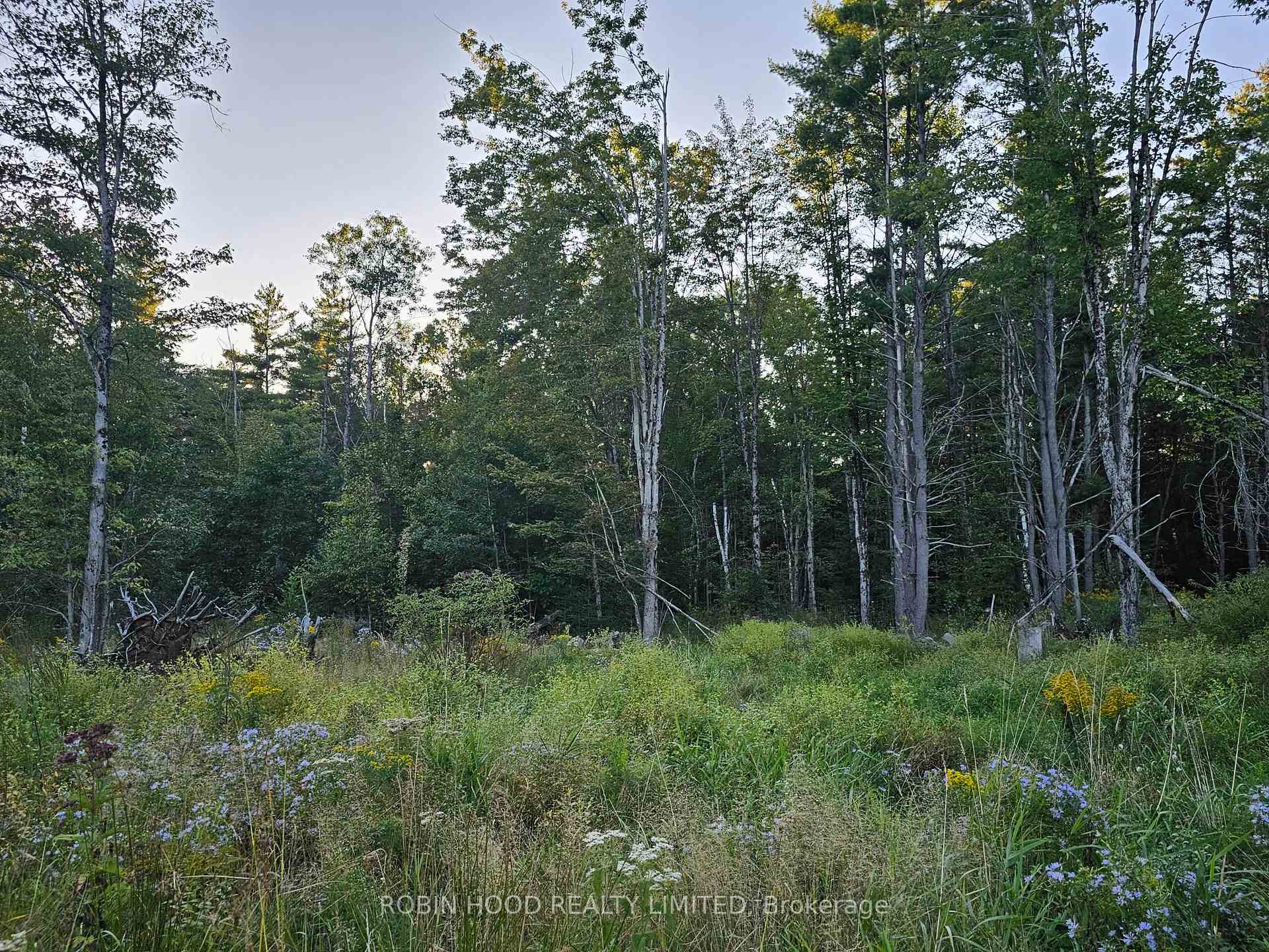 Photo 4 of 2239 Southwood Road, Gravenhurst, Ryde — HOMEH