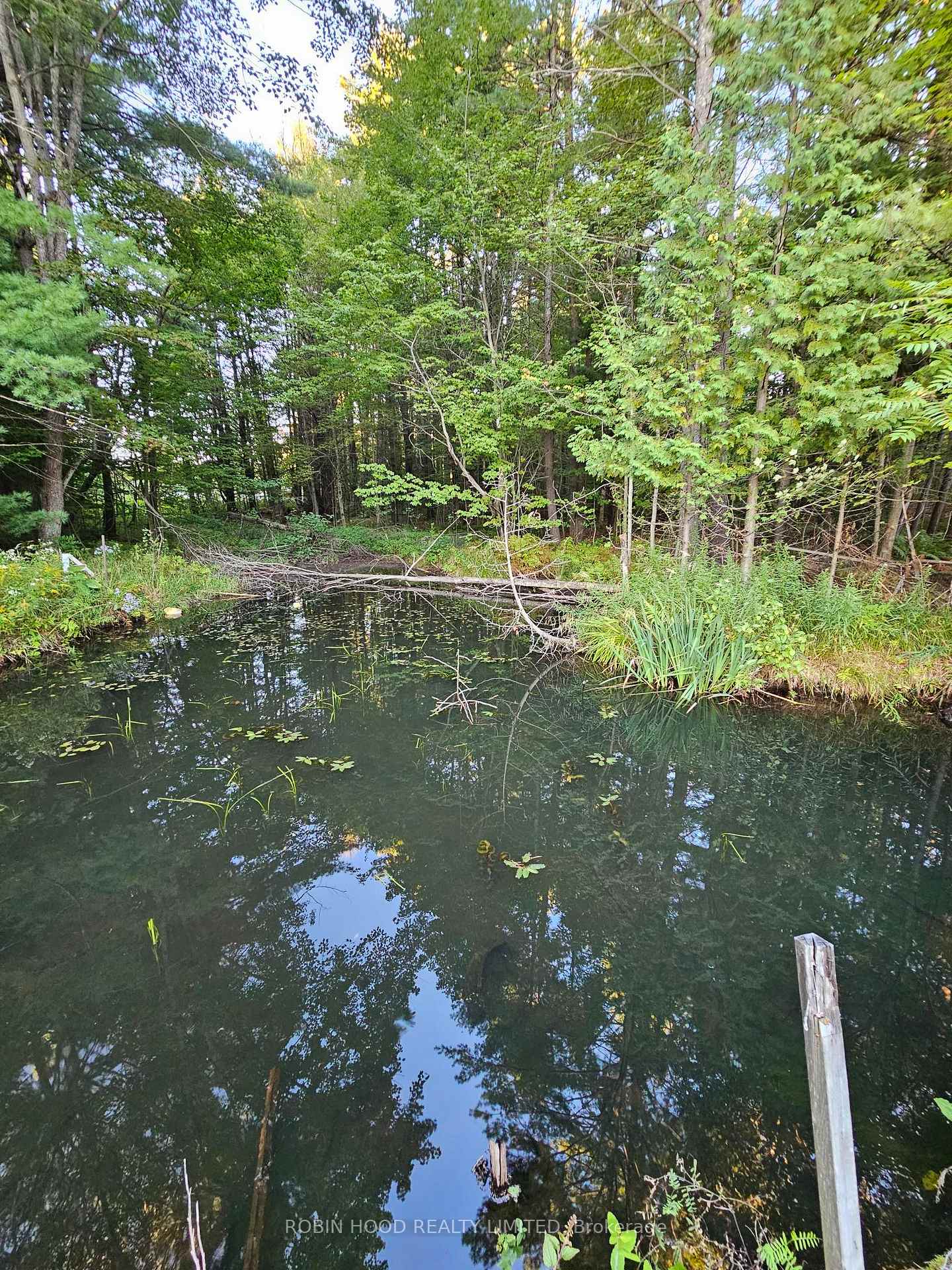 Photo 6 of 2239 Southwood Road, Gravenhurst, Ryde — HOMEH