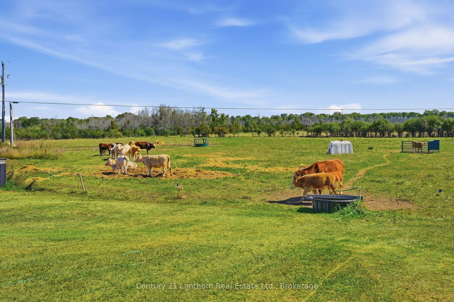 Photo 32 of 939 Kelly Road, Prince Edward County, Athol Ward — HOMEH