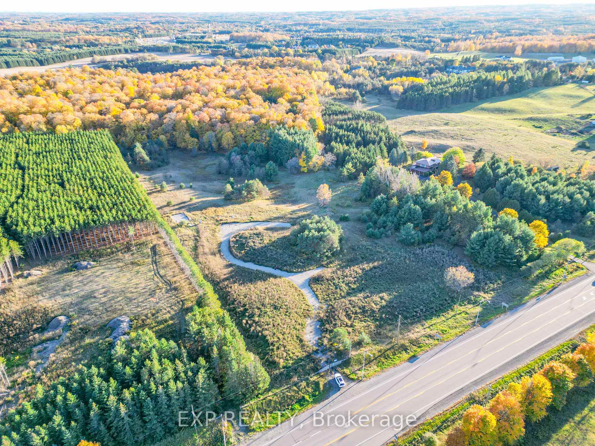 Photo of Lot 29 Con. 8 Highway 9