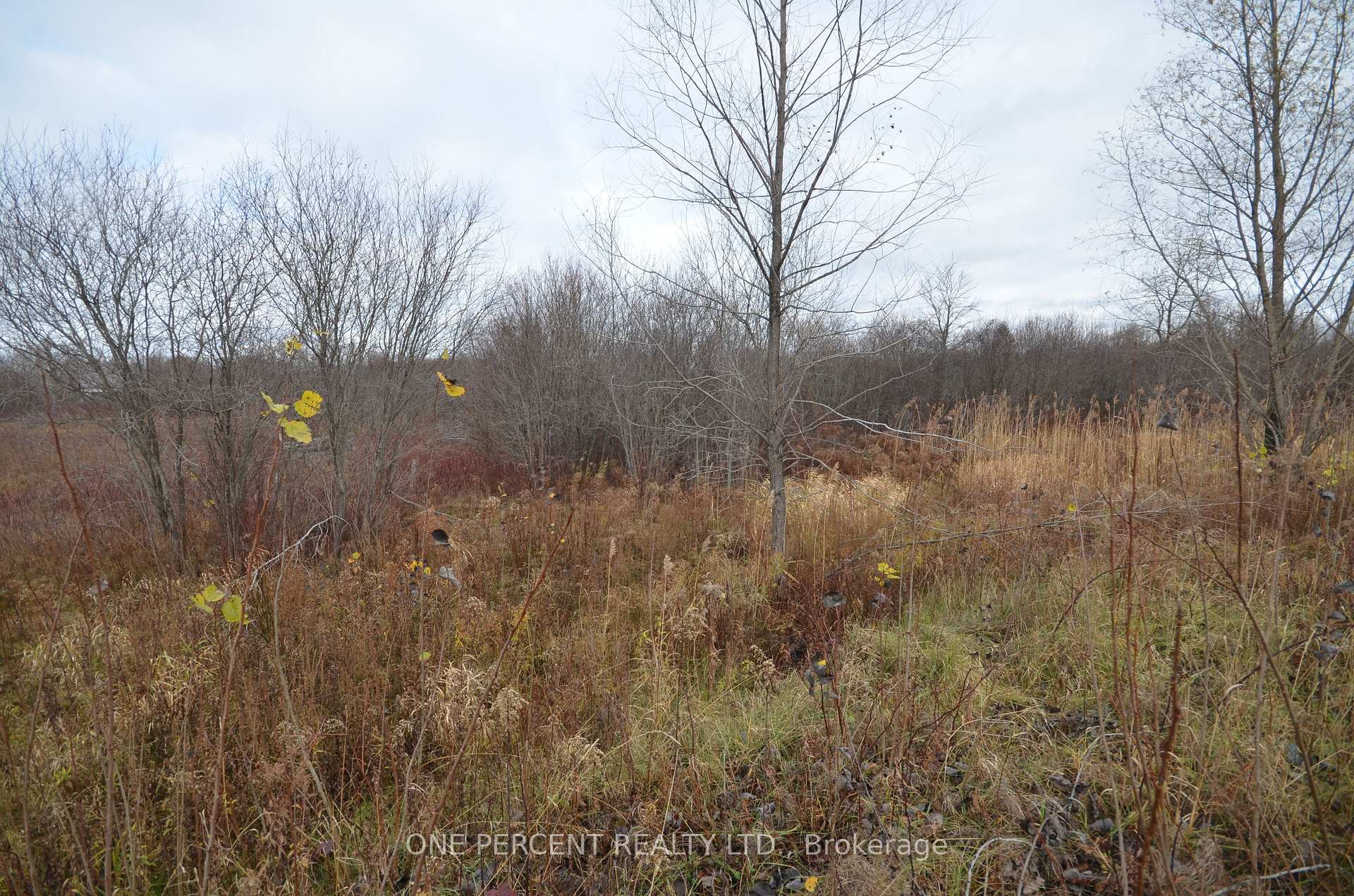 Photo 9 of Loch Garry Road, North Glengarry, North Glengarry (Kenyon) Twp — HOMEH