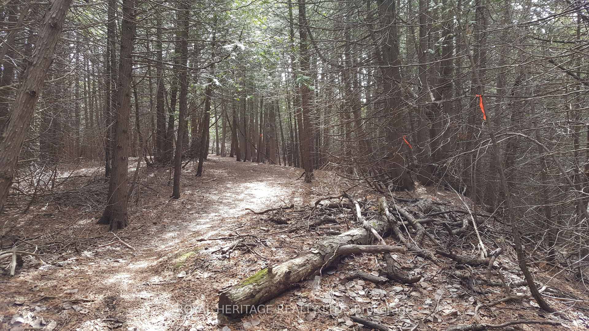 Photo 4 of 1855 Stevenson Road N, Oshawa, Northwood — HOMEH