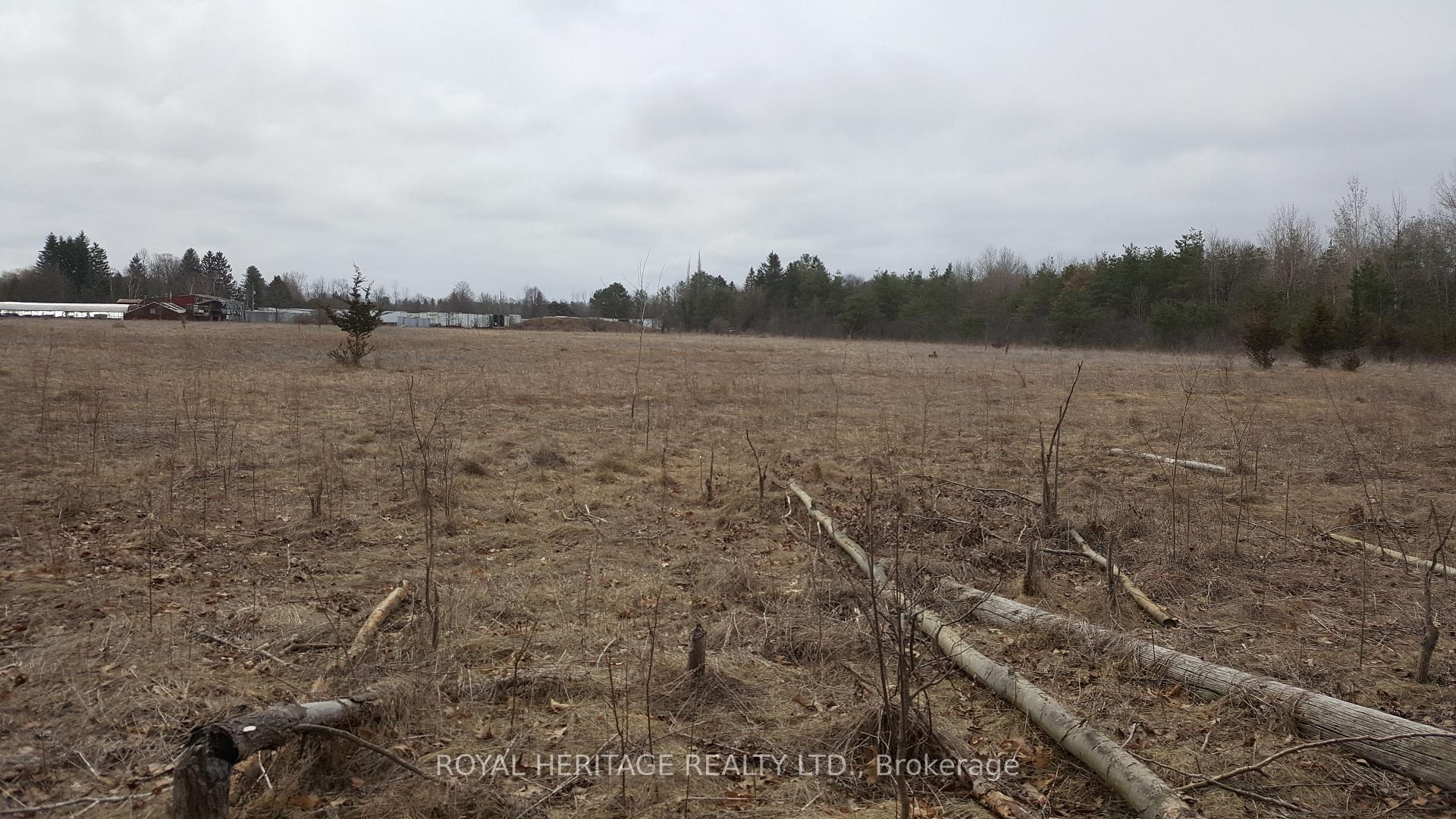 Photo 5 of 1855 Stevenson Road N, Oshawa, Northwood — HOMEH
