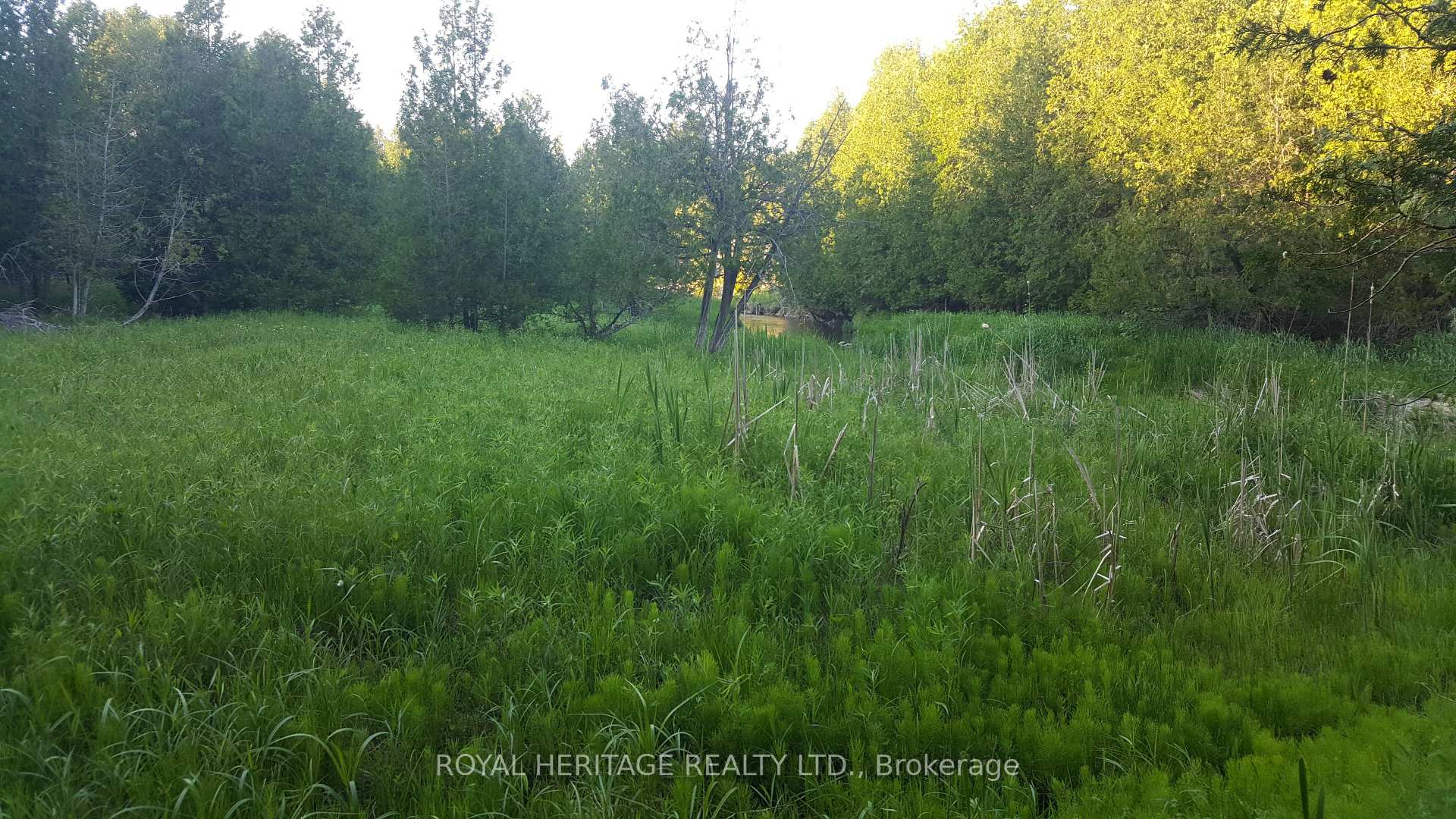 Photo 7 of 1855 Stevenson Road N, Oshawa, Northwood — HOMEH