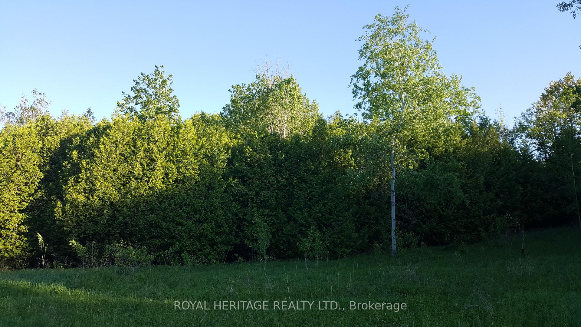 Photo 8 of 1855 Stevenson Road N, Oshawa, Northwood — HOMEH