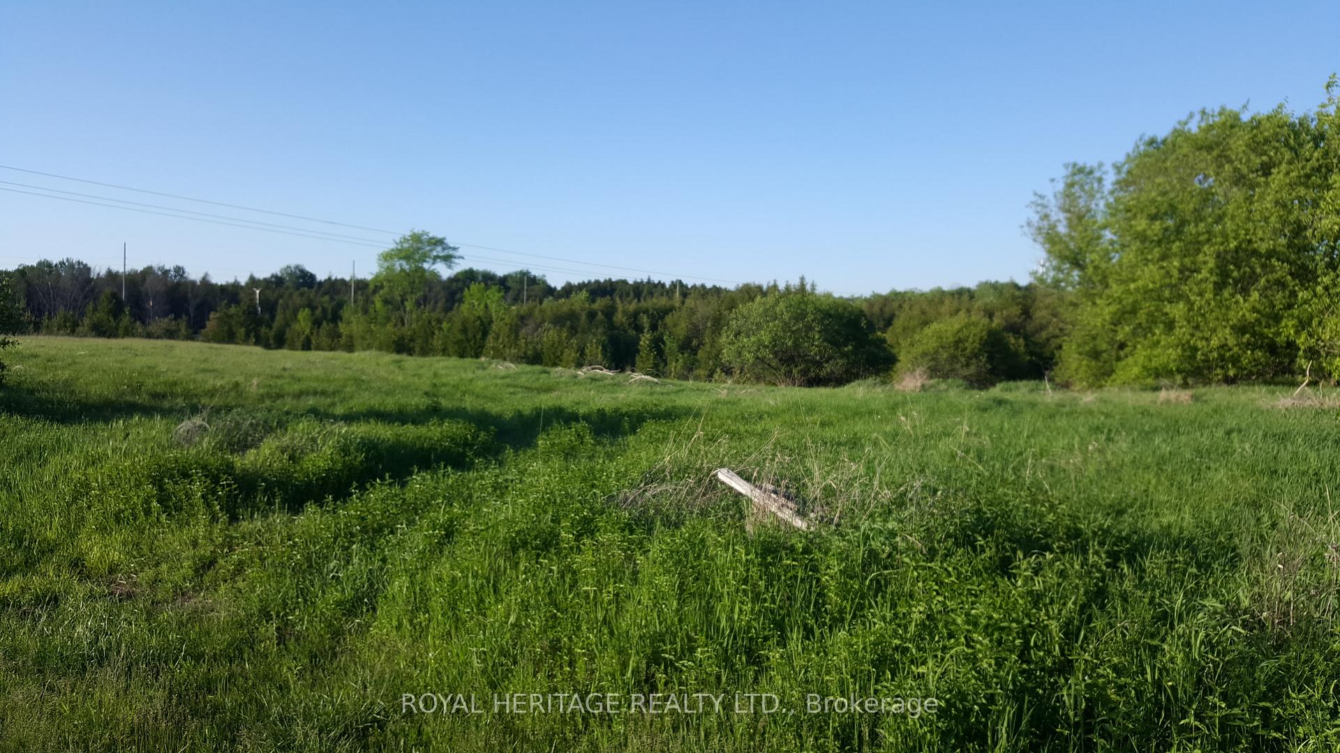 Photo 9 of 1855 Stevenson Road N, Oshawa, Northwood — HOMEH