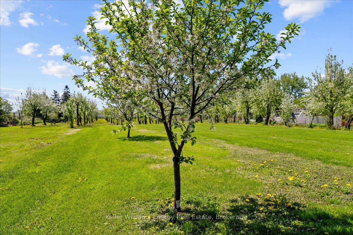 Photo 13 of 2263 Hwy 2, Clarington, Rural Clarington — HOMEH