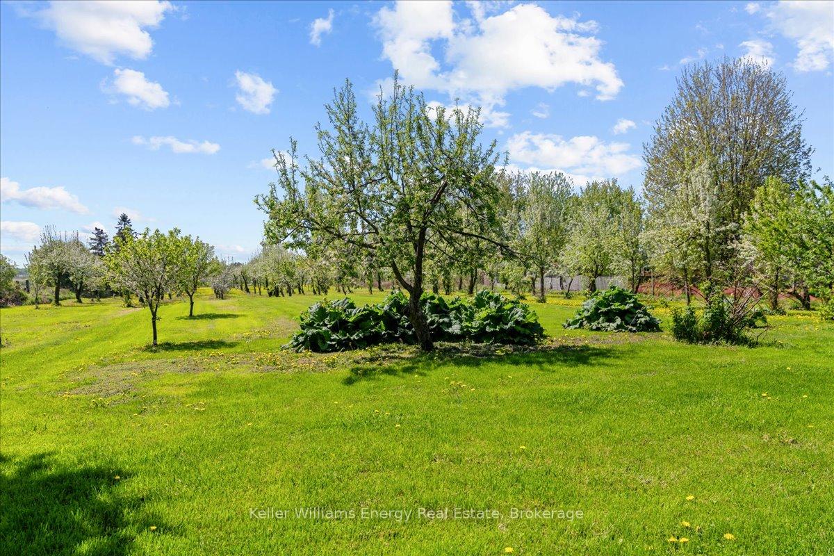 Photo 14 of 2263 Hwy 2, Clarington, Rural Clarington — HOMEH