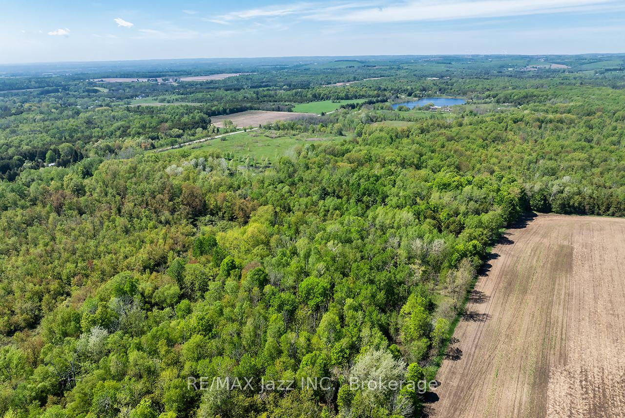 Photo 5 of 4148 Highway #2, Clarington, Rural Clarington — HOMEH