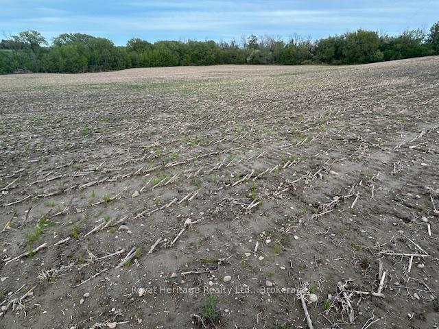Photo 2 of 2299 Baseline Road W, Clarington, Rural Clarington — HOMEH