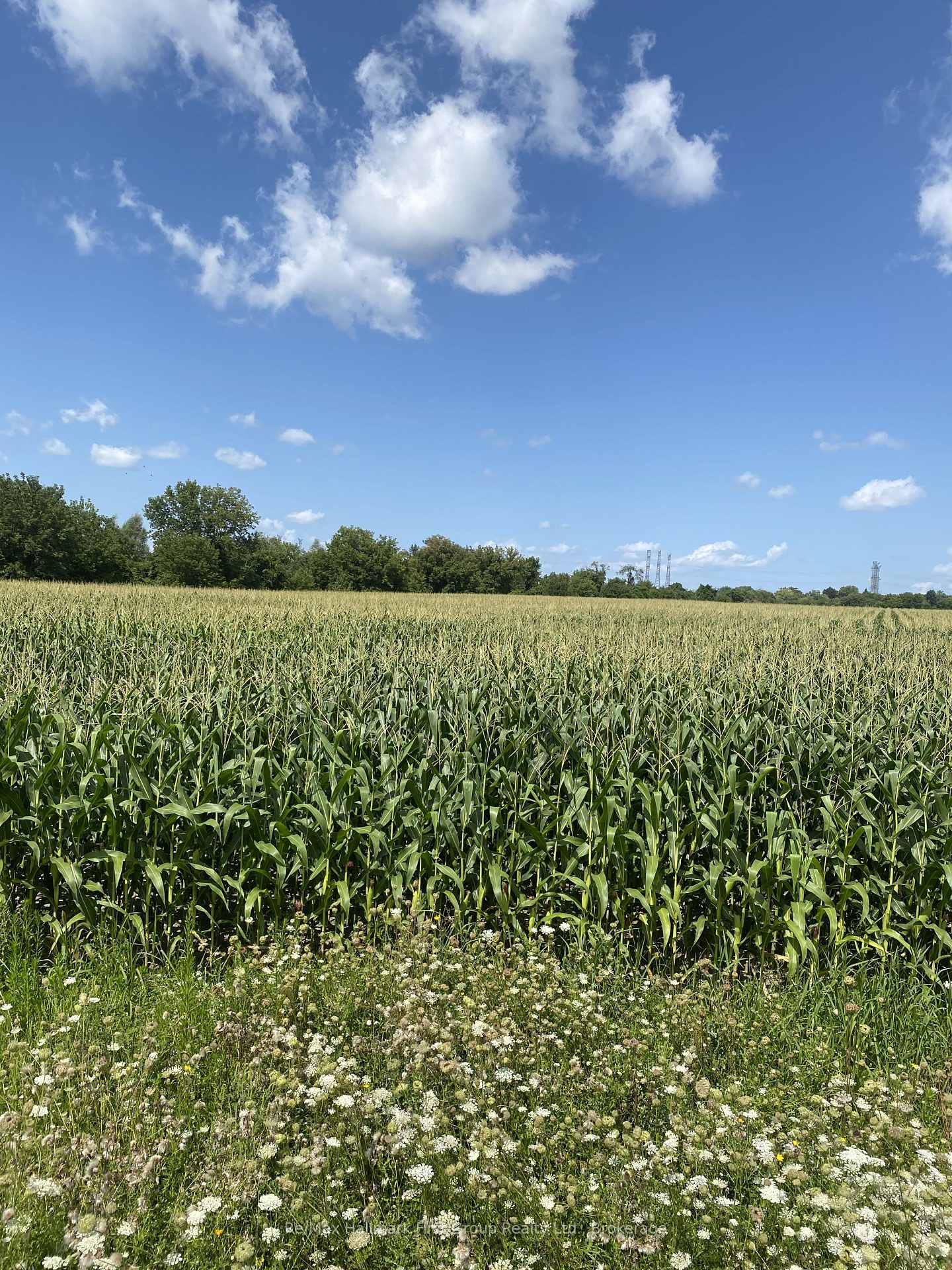 Photo 5 of 800 Conlin Road, Whitby, Rural Whitby — HOMEH