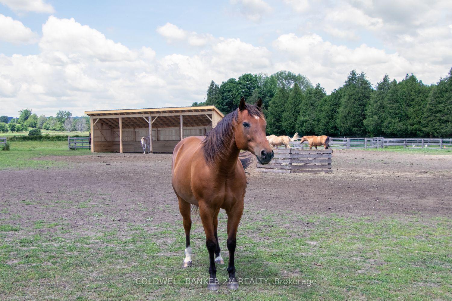 Photo 6 of 5728 Gilmore Road, Clarington, Rural Clarington — HOMEH