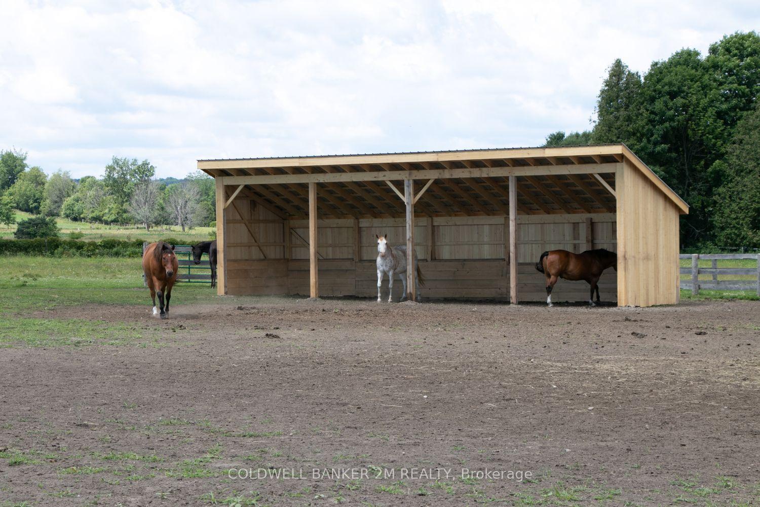 Photo 42 of 5728 Gilmore Road, Clarington, Rural Clarington — HOMEH