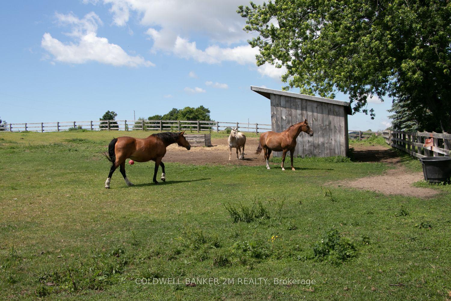 Photo 43 of 5728 Gilmore Road, Clarington, Rural Clarington — HOMEH