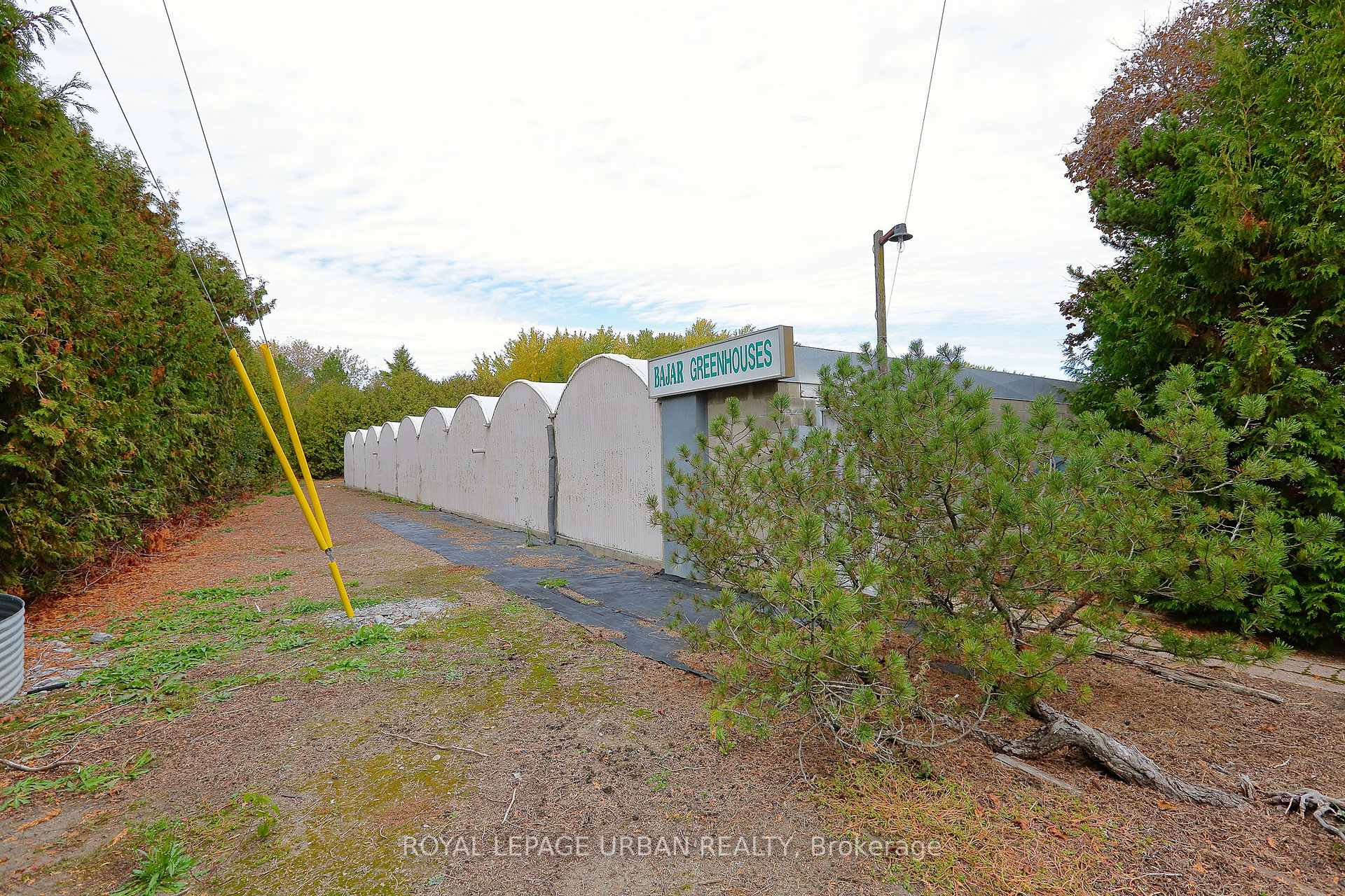 Photo 20 of 18509-18545 Keele Street, King, Rural King — HOMEH