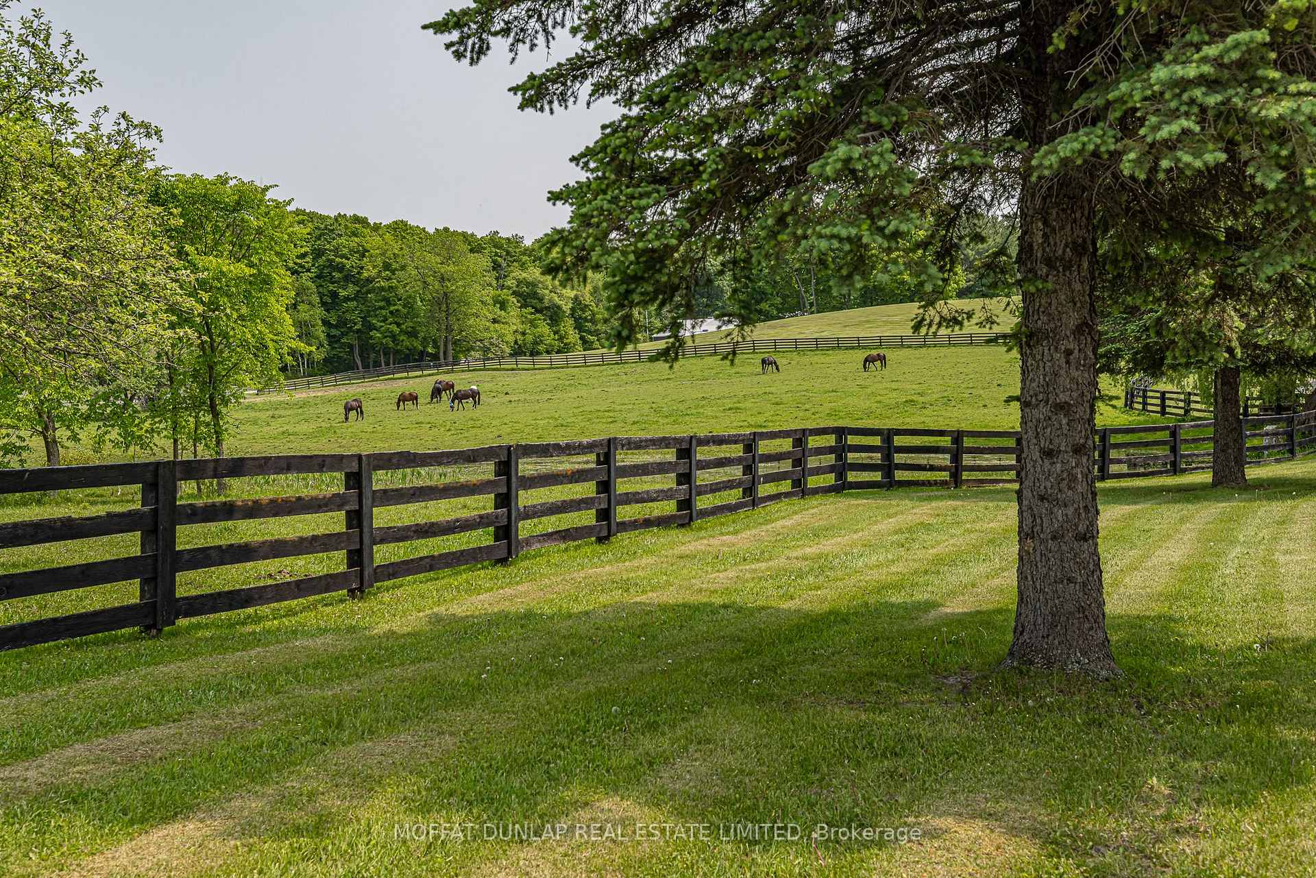 Photo 41 of 2065 19th Side Road, King, Rural King — HOMEH