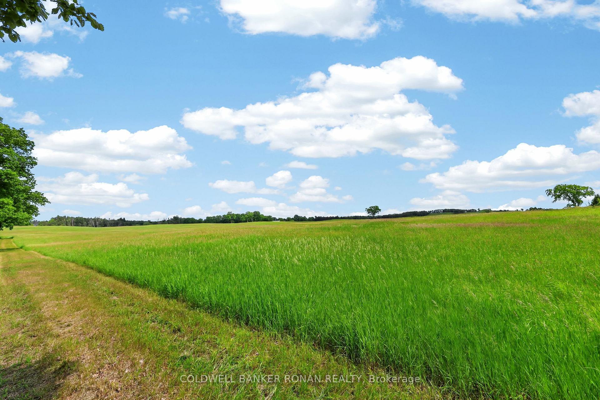 Photo 34 of 2362 Concession Rd 2, Adjala-Tosorontio, Rural Adjala-Tosorontio — HOMEH