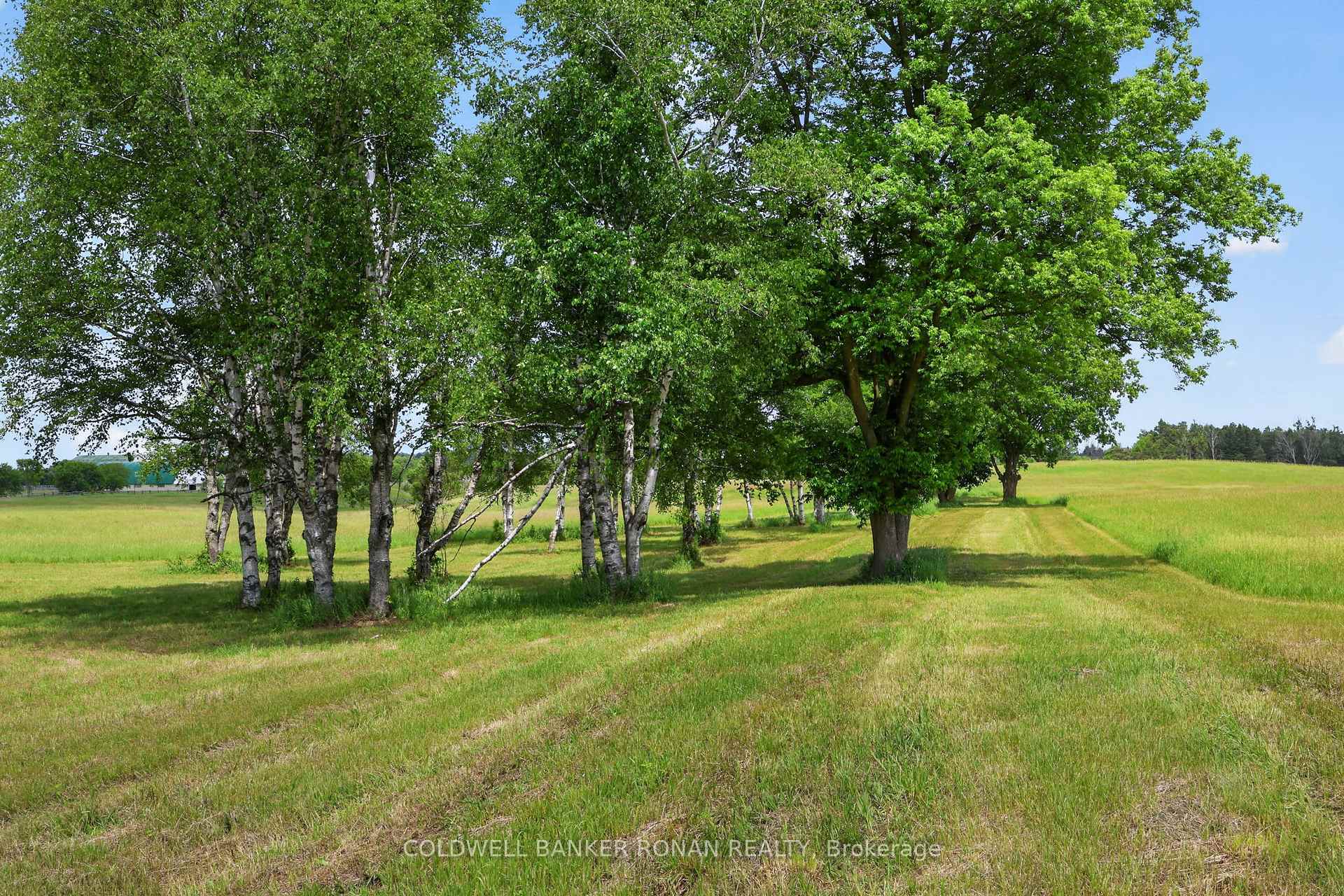 Photo 35 of 2362 Concession Rd 2, Adjala-Tosorontio, Rural Adjala-Tosorontio — HOMEH
