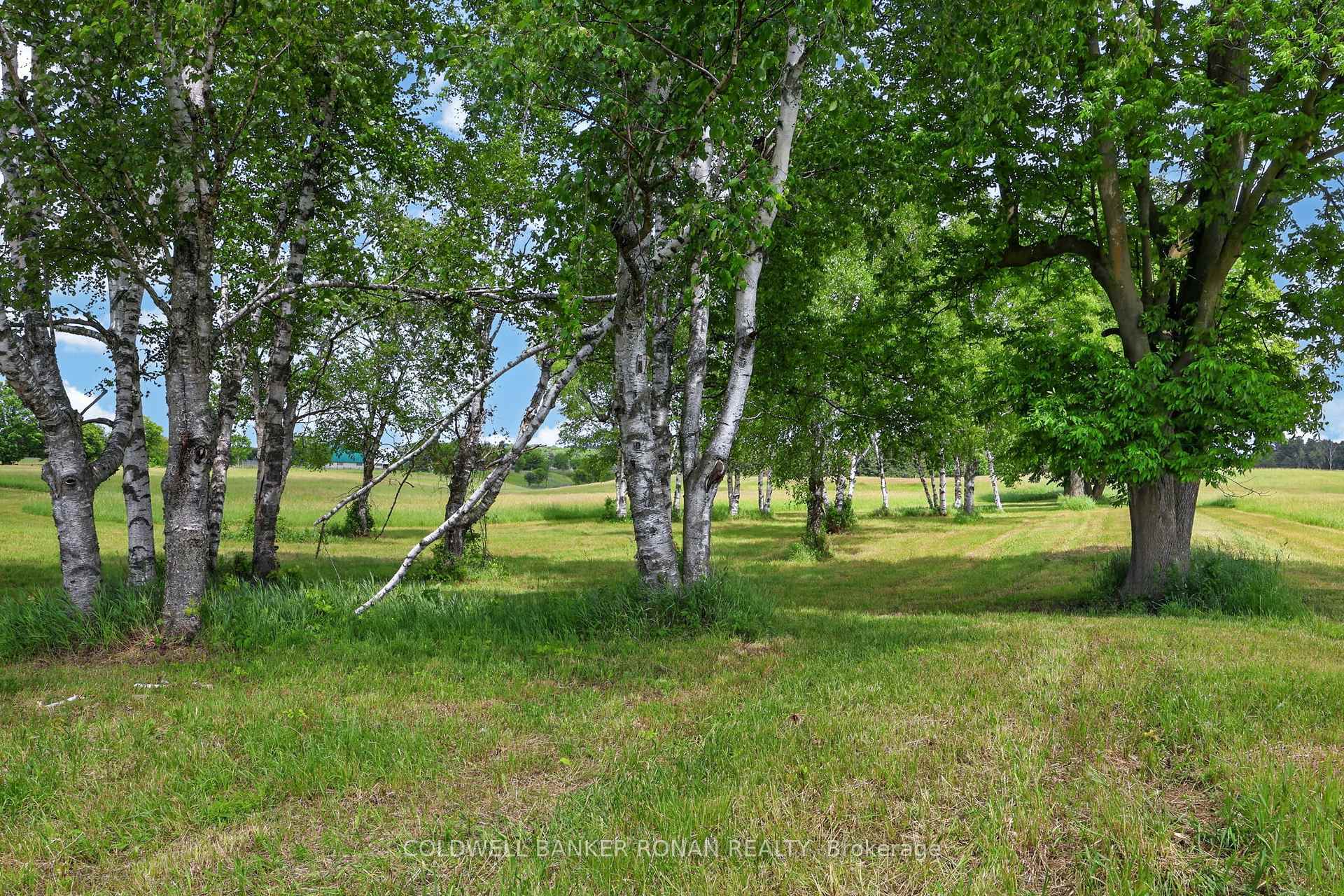 Photo 36 of 2362 Concession Rd 2, Adjala-Tosorontio, Rural Adjala-Tosorontio — HOMEH