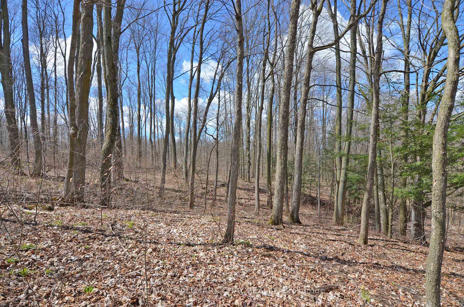 Photo 42 of 6280 County Rd 15, Adjala-Tosorontio, Rural Adjala-Tosorontio — HOMEH
