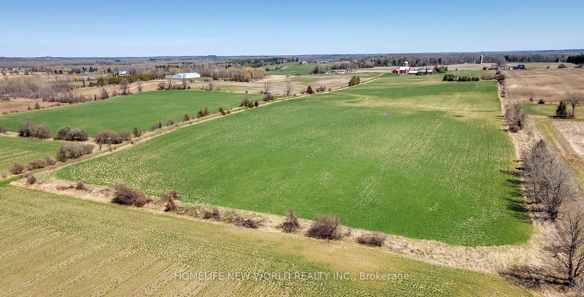 Photo 8 of 23702 Kennedy Road, Georgina, Belhaven — HOMEH