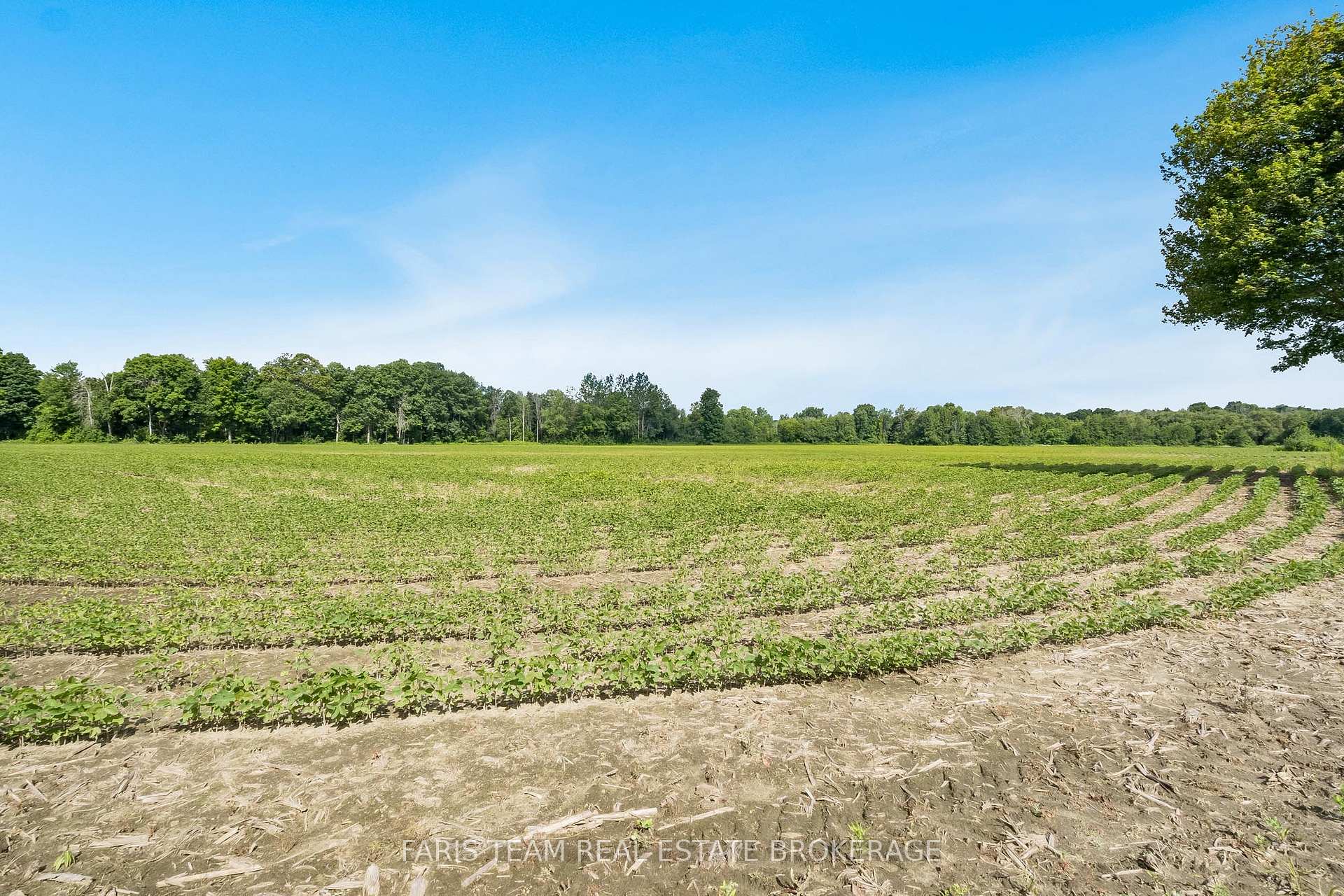 Photo 4 of 4065 15th Line, Innisfil, Rural Innisfil — HOMEH