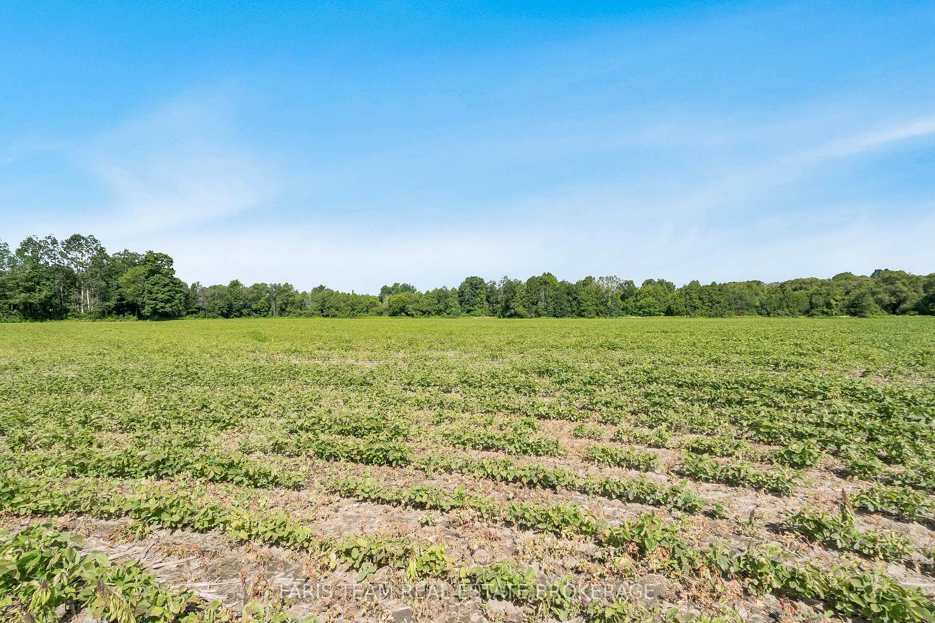 Photo 5 of 4065 15th Line, Innisfil, Rural Innisfil — HOMEH