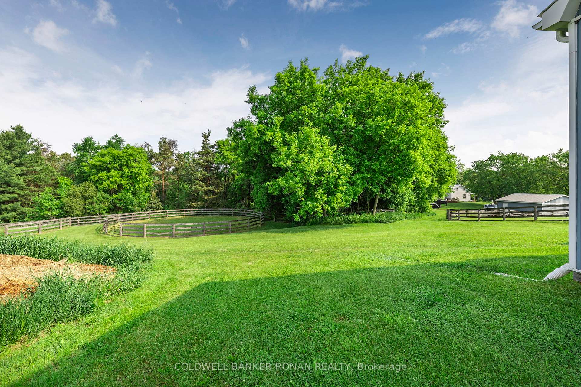 Photo 41 of 1604 Concession Rd 8, Adjala-Tosorontio, Rural Adjala-Tosorontio — HOMEH