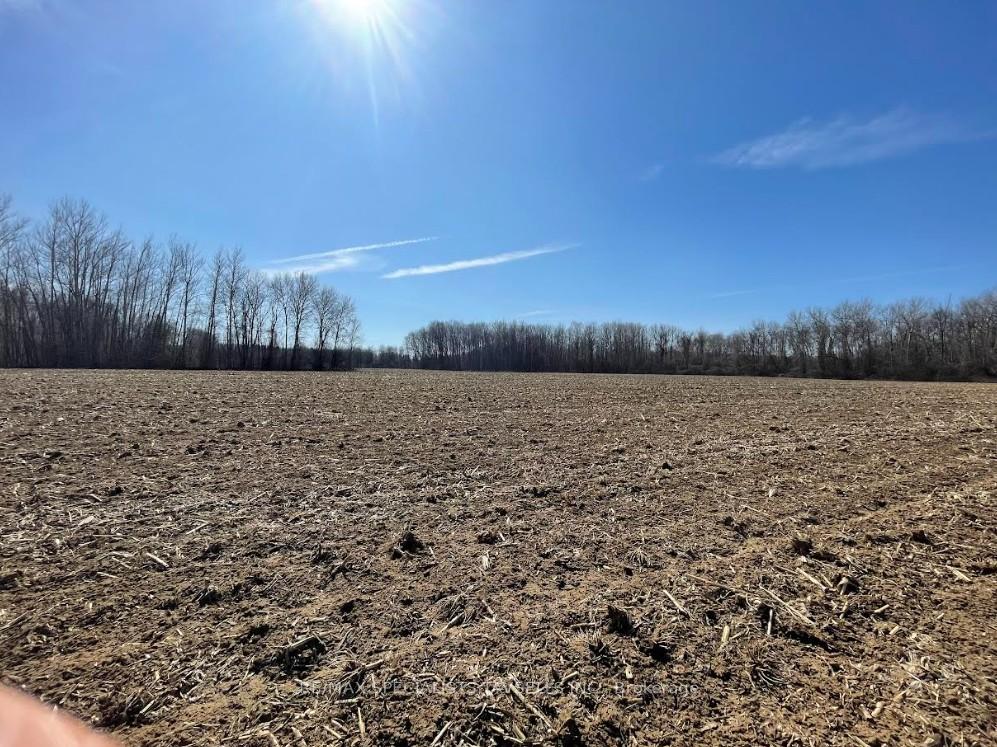 Photo 3 of 4412 124 County Road, Clearview, Rural Clearview — HOMEH