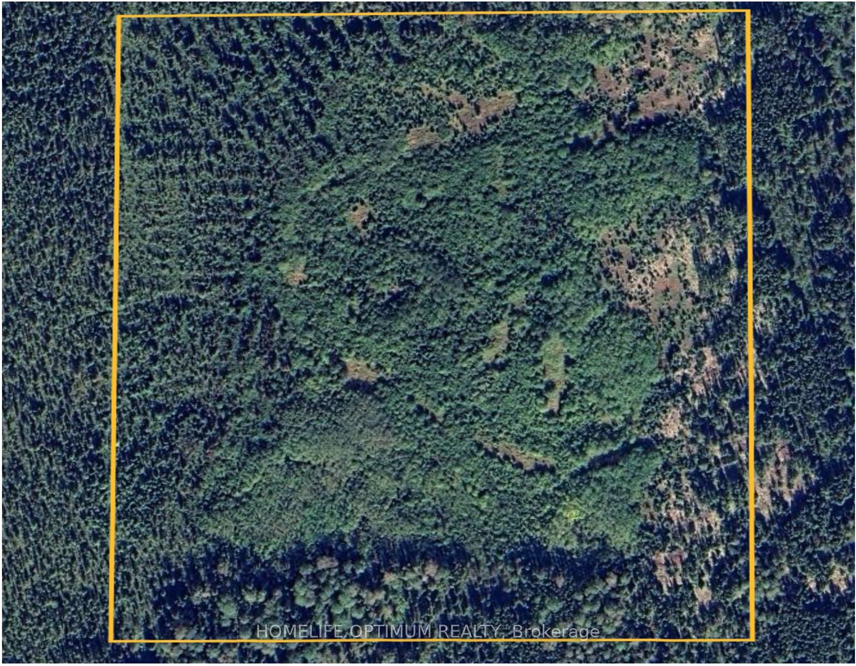 Photo of PCL2487, Black River Matheson, Matheson