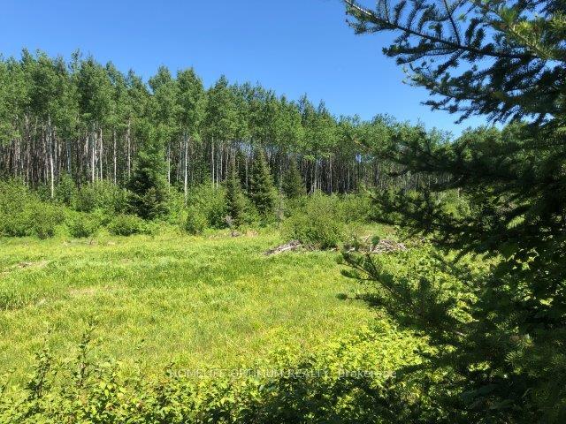 Photo of 38.24 Acres in Ogden Township PCL 24640