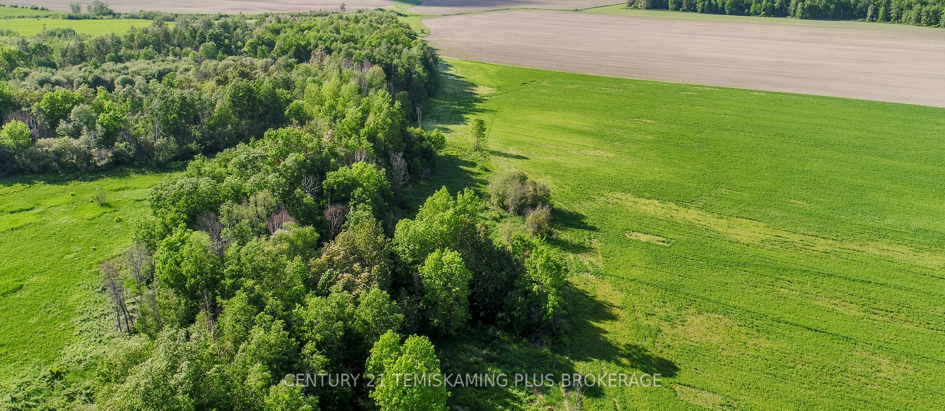 Photo 18 of 84335 Edwards Road, Timiskaming, TIM - Outside - Rural — HOMEH