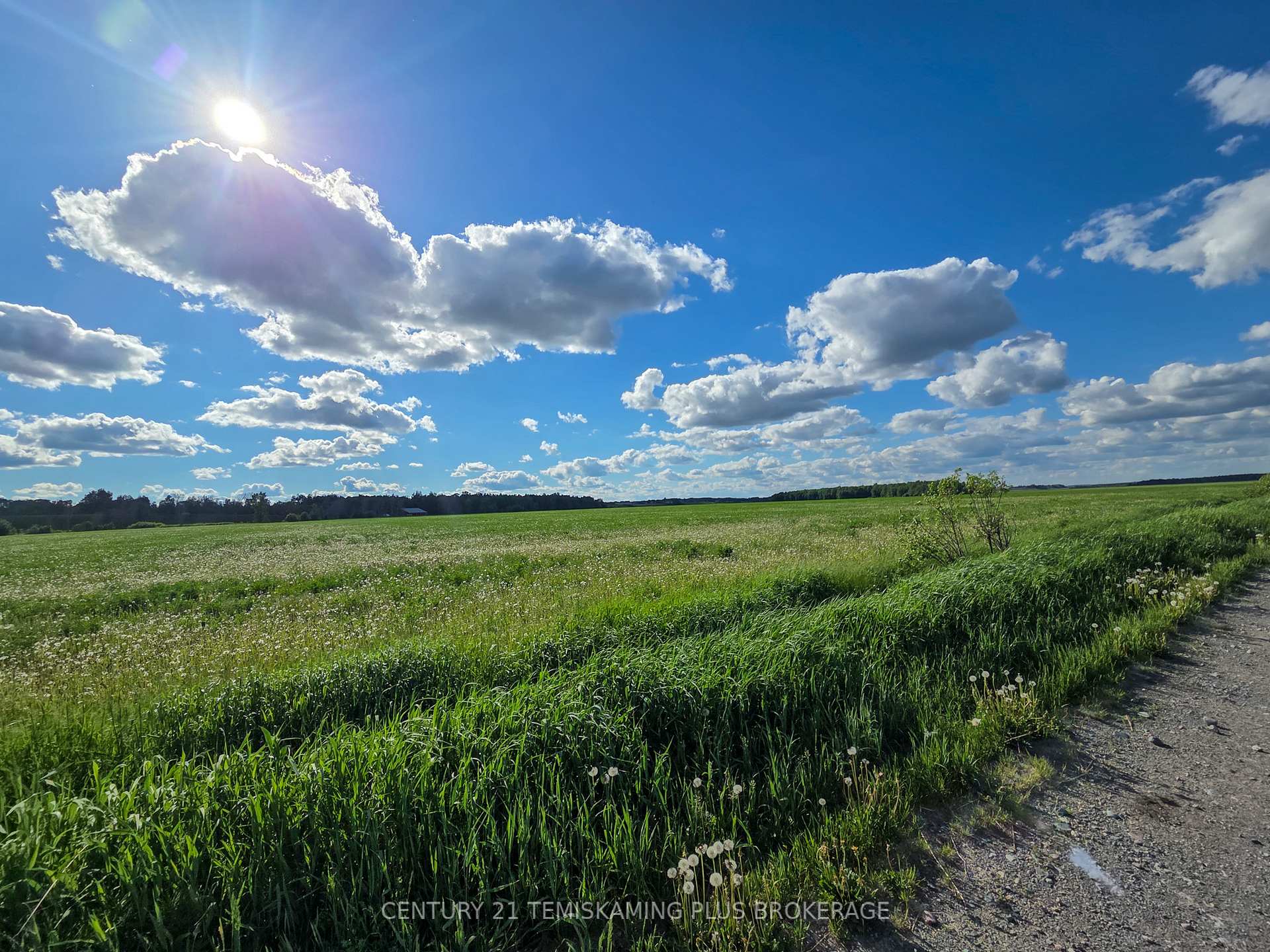 Photo 37 of 84335 Edwards Road, Timiskaming, TIM - Outside - Rural — HOMEH