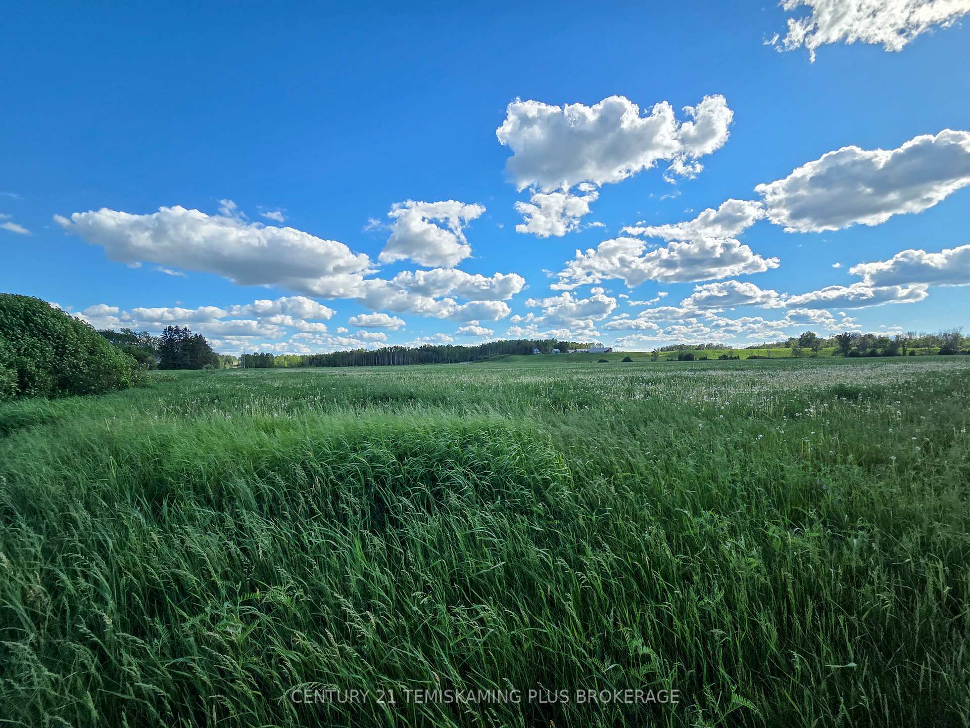 Photo 38 of 84335 Edwards Road, Timiskaming, TIM - Outside - Rural — HOMEH