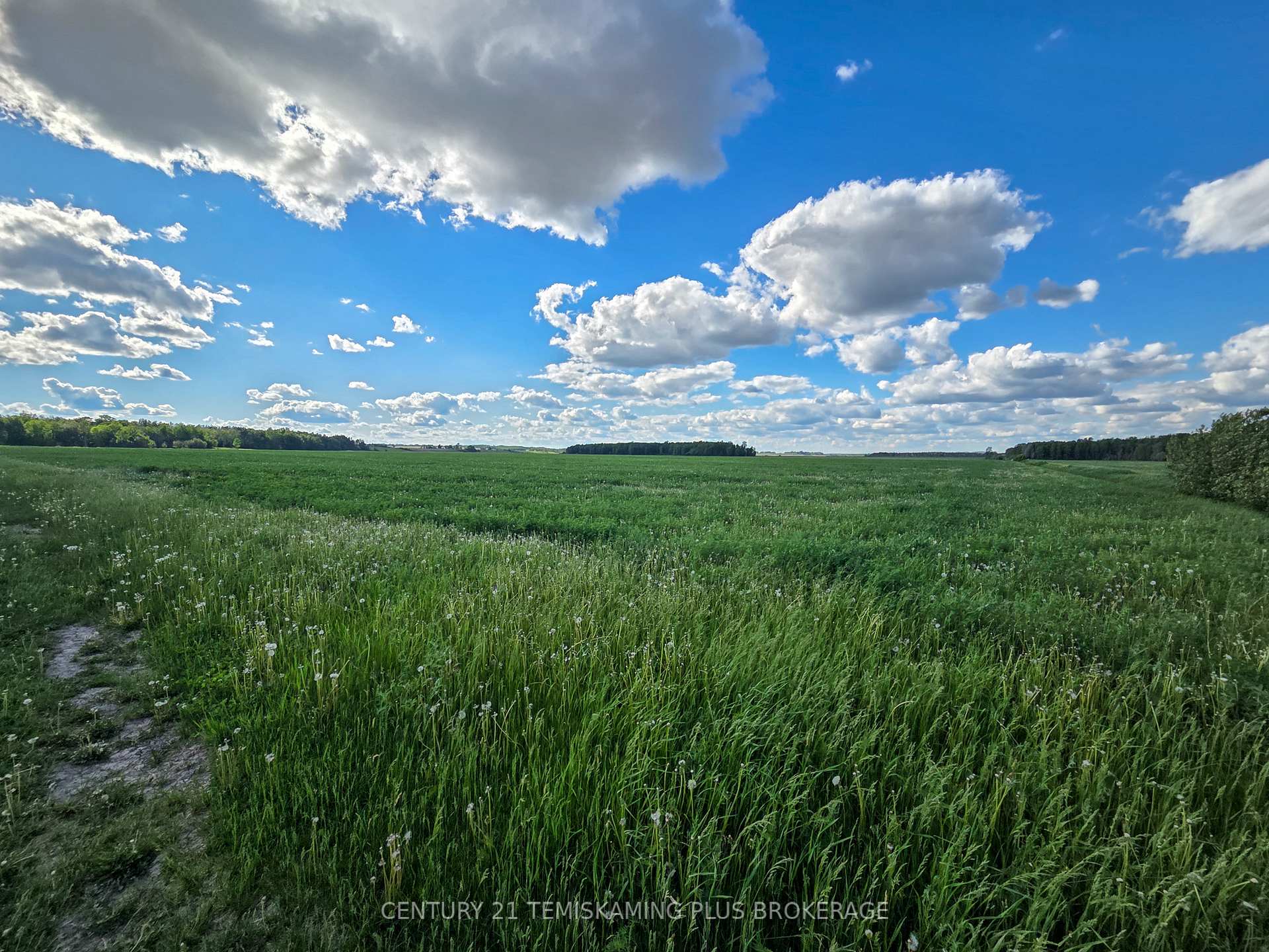 Photo 39 of 84335 Edwards Road, Timiskaming, TIM - Outside - Rural — HOMEH